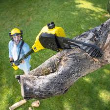 Best Lawn Maintenance Plans  in Pleasant Hills, OH